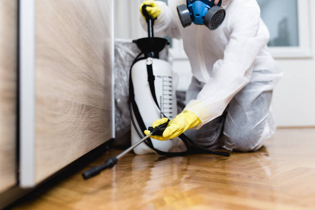 Best Ant Control Services  in Henderson, GA