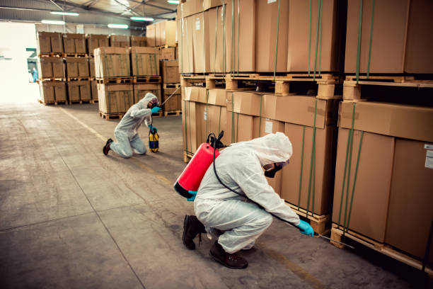 Best Rat Extermination Near Me  in Henderson, GA