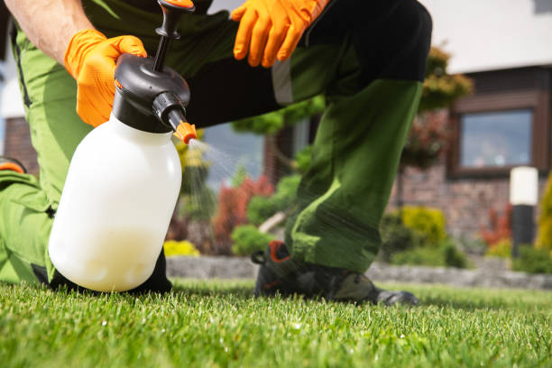 Best Best Pest Control Companies  in Henderson, GA