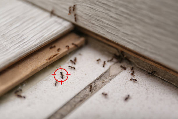 Best Wildlife Control Services  in Henderson, GA