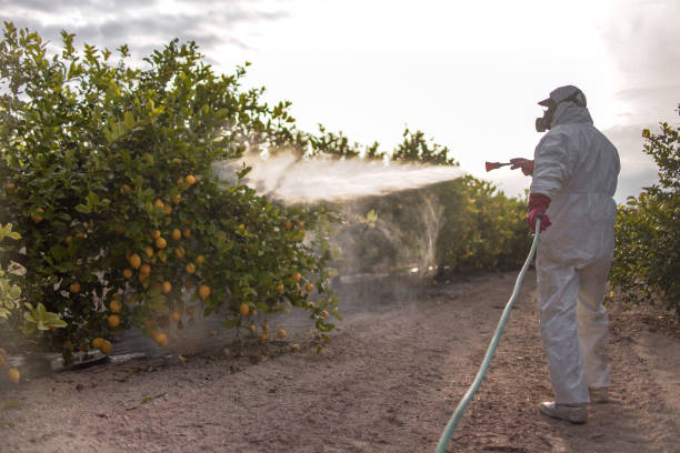 Best Wasp Removal Services  in Henderson, GA