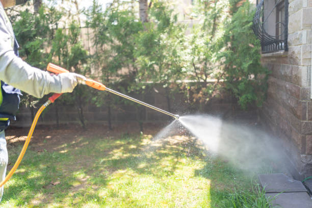 Best Wasp Removal Services  in Henderson, GA