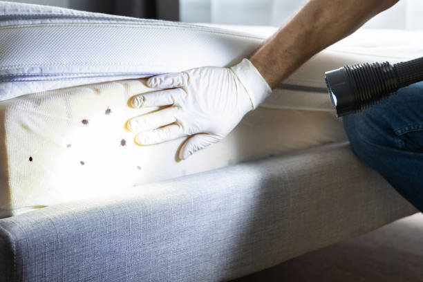 Best Rat Extermination Near Me  in Henderson, GA
