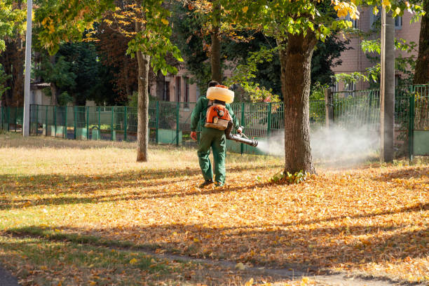 Best Flea Control Services  in Henderson, GA