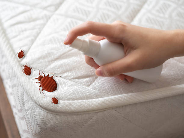 Reliable Henderson, GA Pest Control Solutions