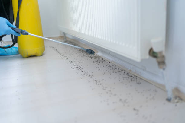 Best Pest Removal Services  in Henderson, GA
