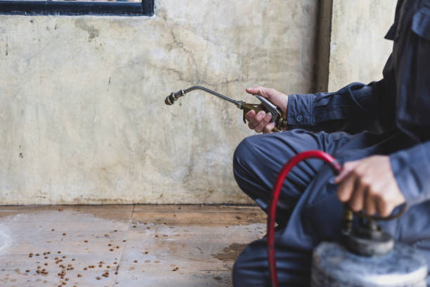 Best Pest Prevention Services  in Henderson, GA